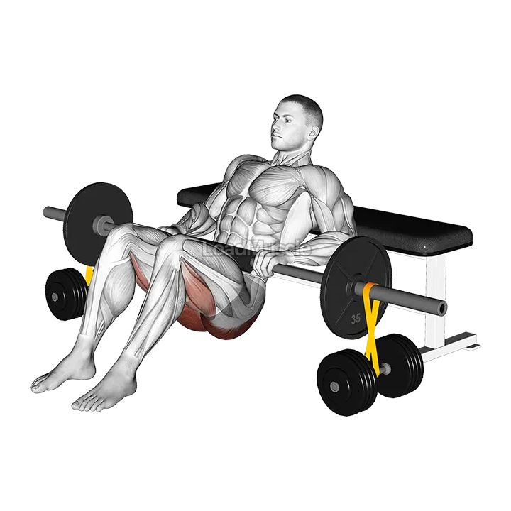 Barbell Hip Thrust with Resistance Band demonstration