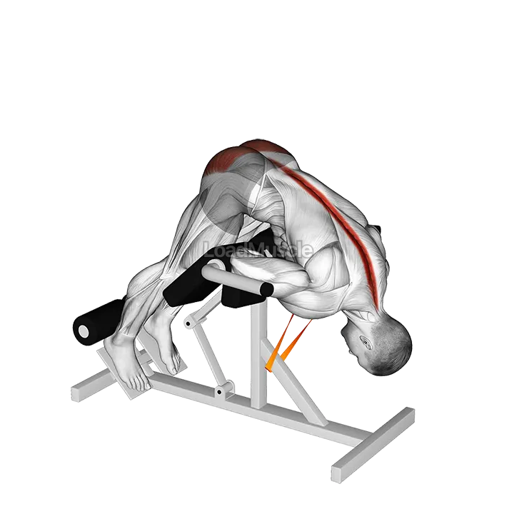 Resistance Band 45 degrees Hyperextension demonstration