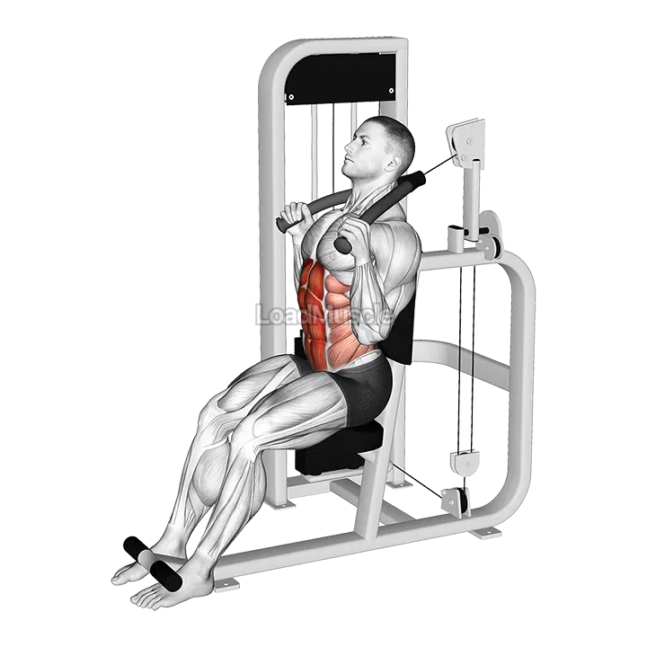 Lever Seated Full Crunch demonstration