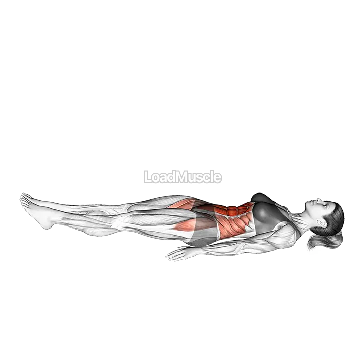 Jack knife Sit-up demonstration