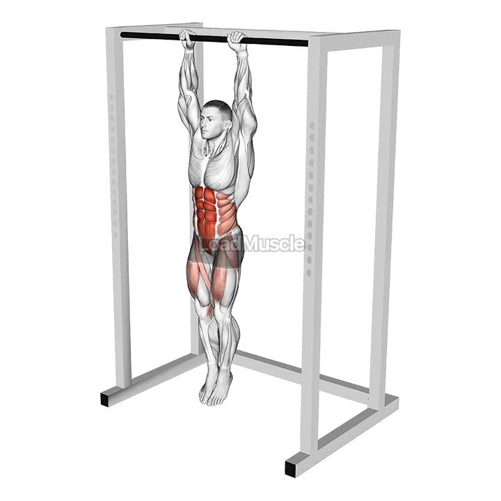 Hanging Knees to Elbows demonstration