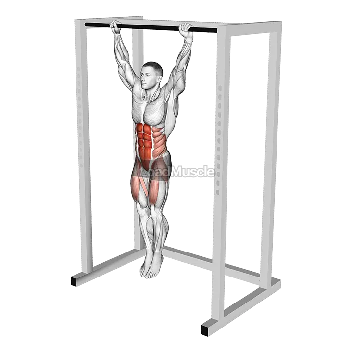 Hanging Toes to Bar demonstration