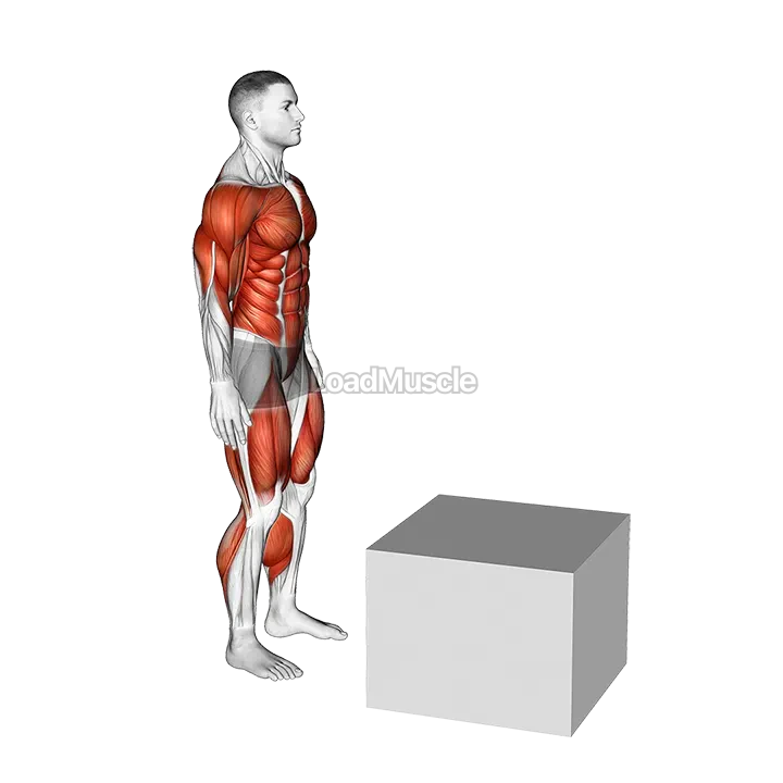 Jump on Fit Box demonstration