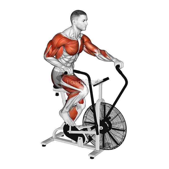 Assault Bike Run demonstration