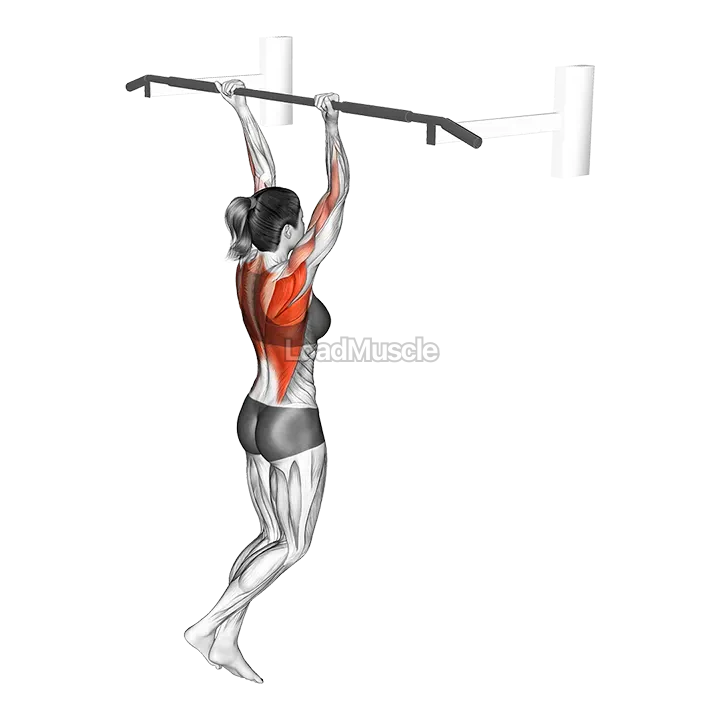 Reverse grip Pull-up demonstration