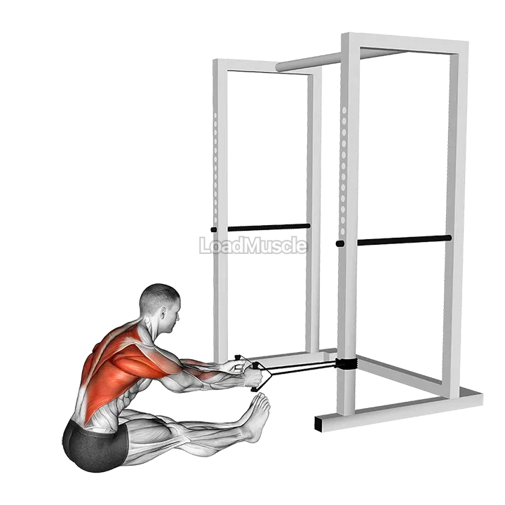 Band seated row demonstration