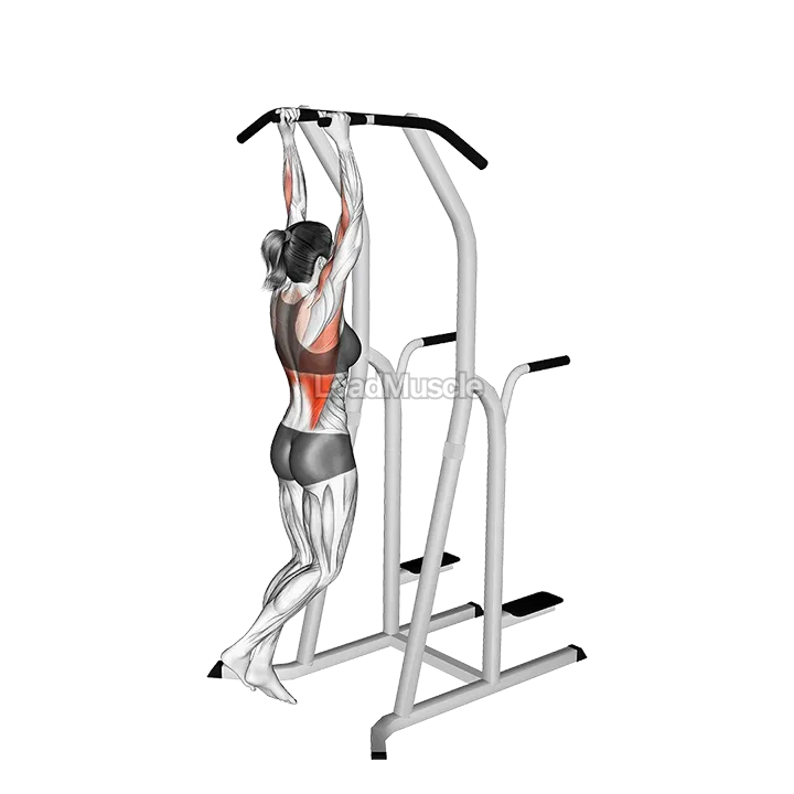 Hammer Grip Pull-up on Dip Cage demonstration