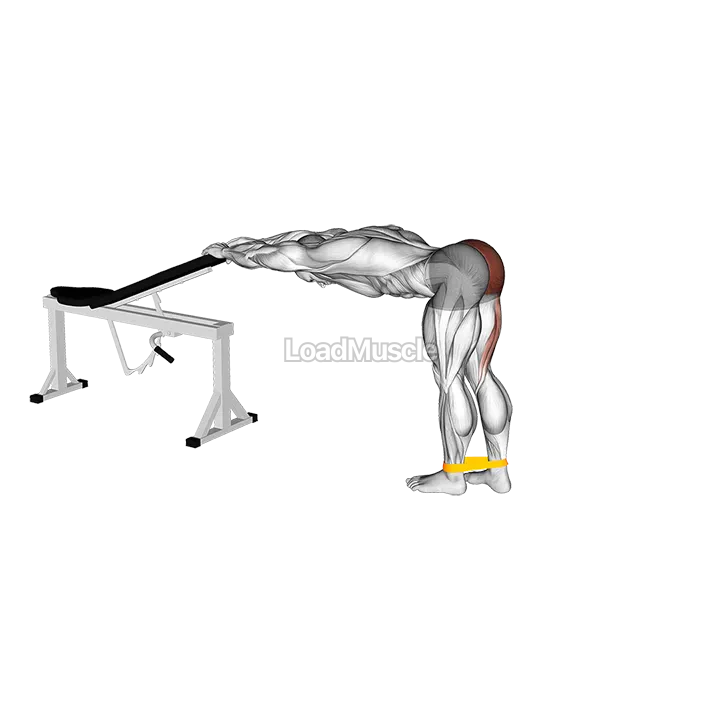 Resistance Band One Leg Kickback (Bent Position) demonstration