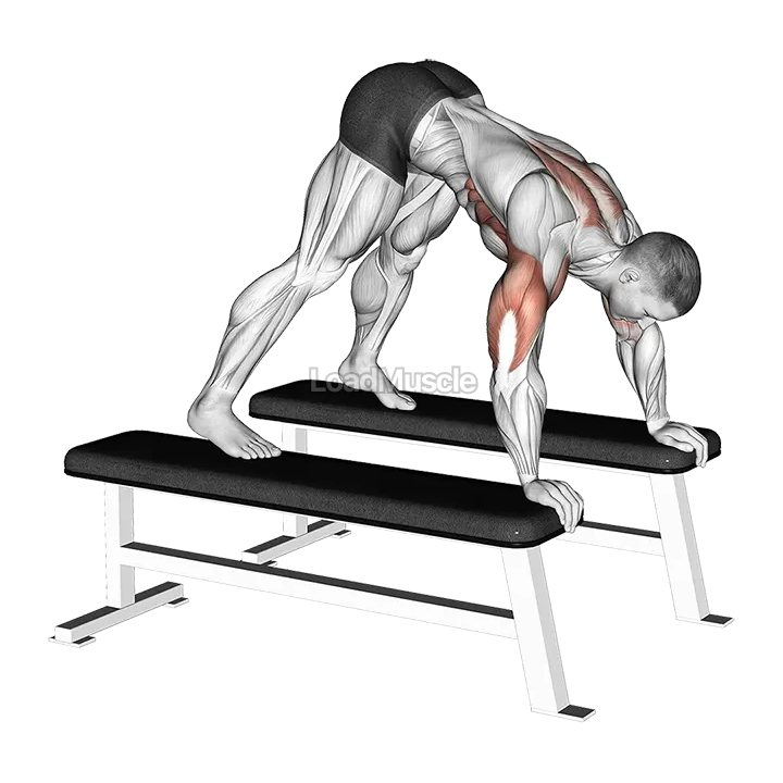 Pike Press (between benches) demonstration