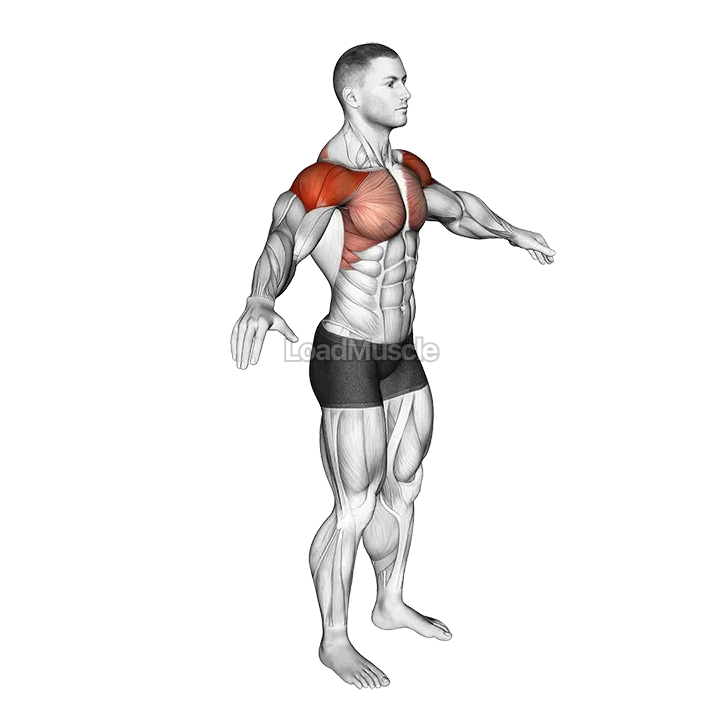 Arm Circles demonstration