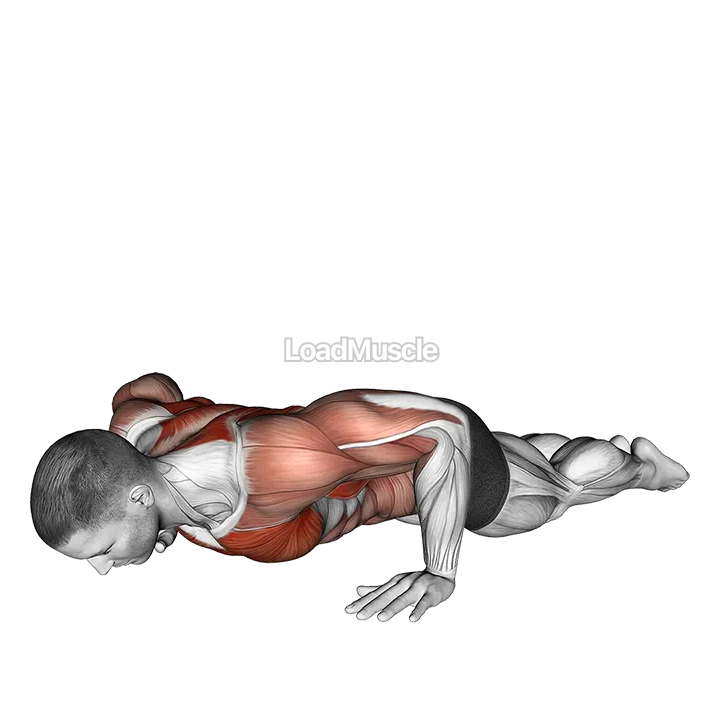 Bodyweight Kneeling Push-up Row demonstration