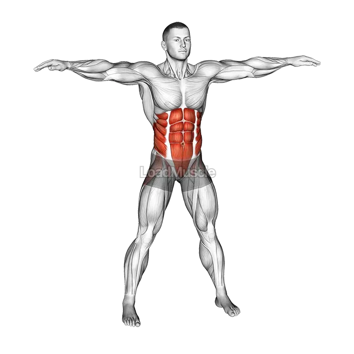 Bodyweight Windmill demonstration