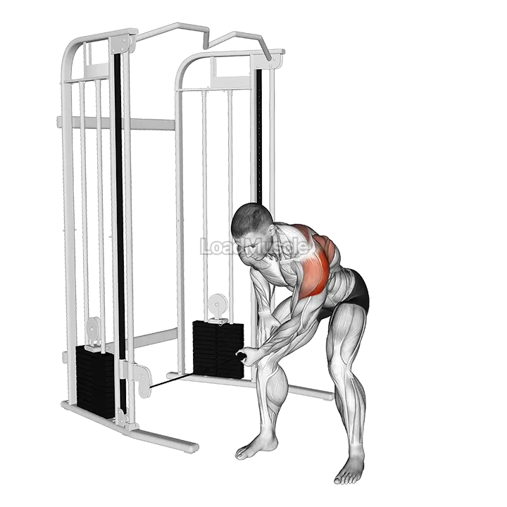 Cable Bent Over One Arm Lateral Raise demonstration