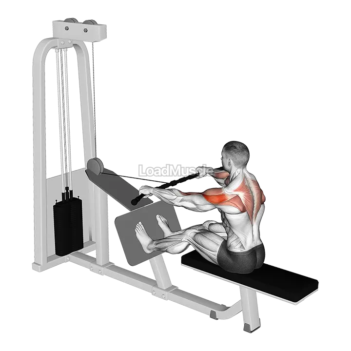 Cable Rear Delt Row demonstration
