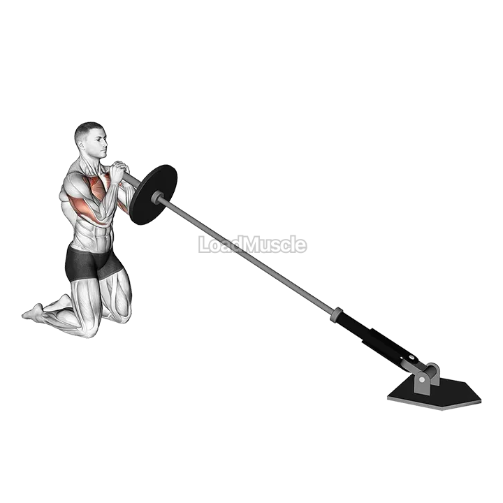 Landmine Kneeling Squeeze Press demonstration