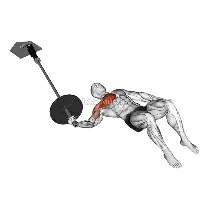 Landmine Floor One Arm Chest Fly demonstration