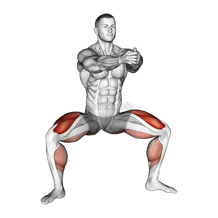 Squat Tip Toe demonstration