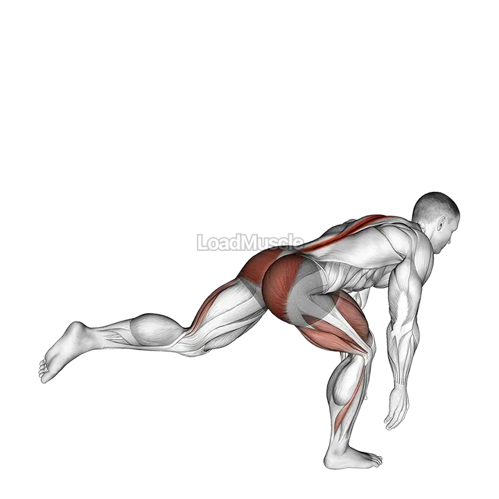 Bodyweight Single Leg Deadlift demonstration