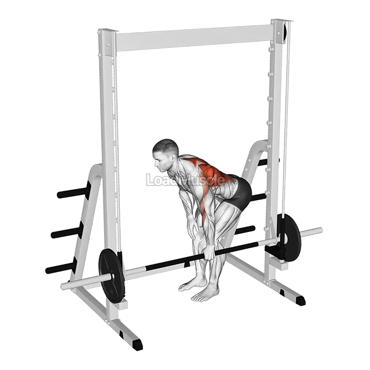 Smith Single Arm Bent Over Row demonstration