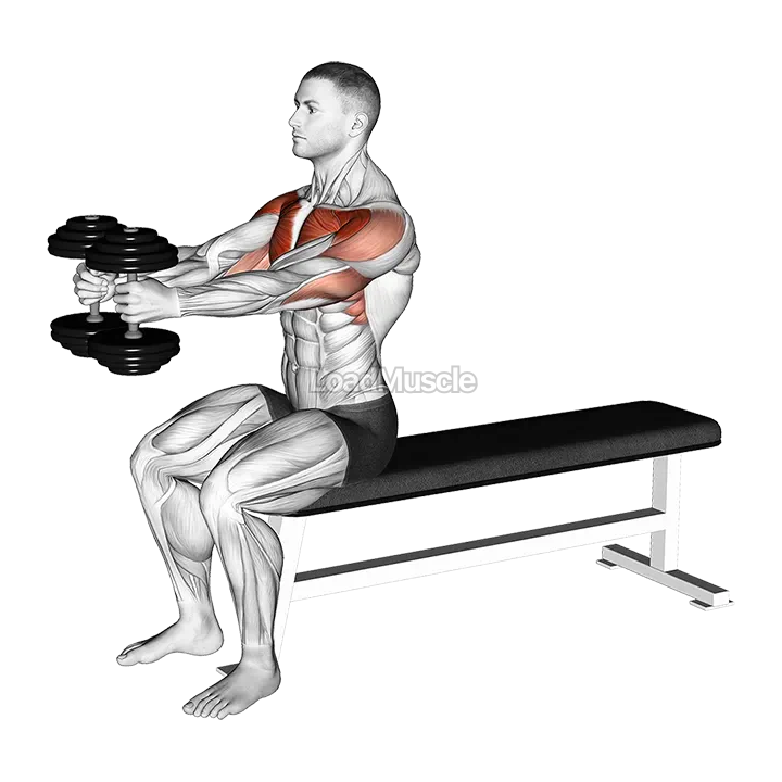 Dumbbell Seated Upright Alternate Squeeze Press demonstration