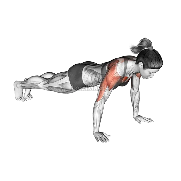 Hands Release Push-up demonstration