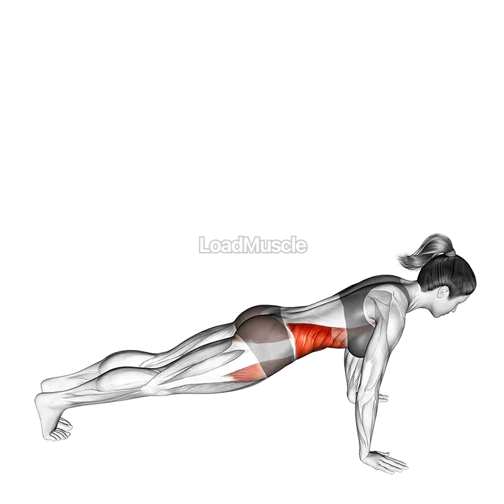 Front to Side Plank demonstration