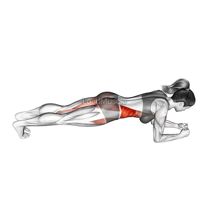 Side Step Front Plank demonstration