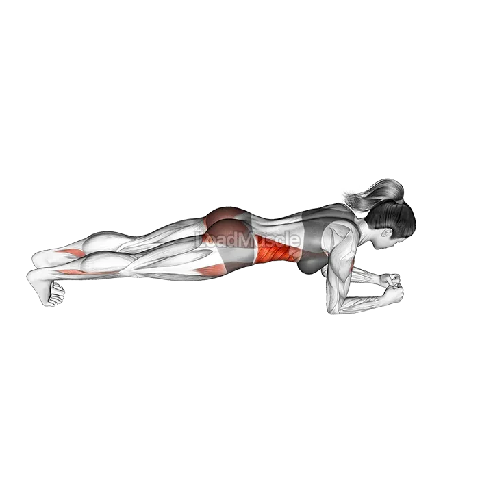 Forward Step Front Plank demonstration