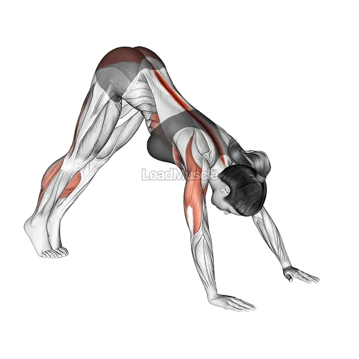 Pike to Cobra demonstration