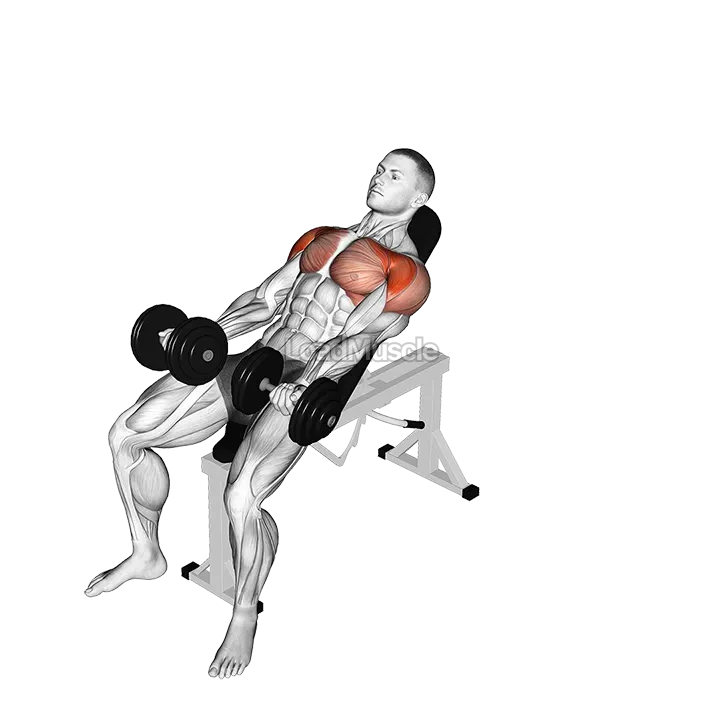 Dumbbell Incline Around the World demonstration