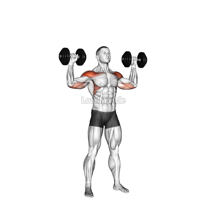 Dumbbell Alternate Shoulder Press demonstration