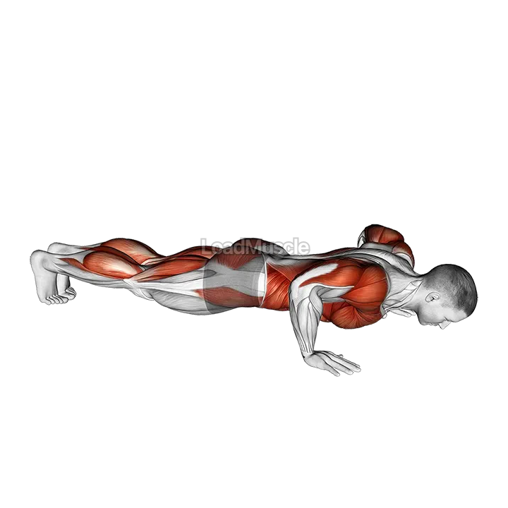 Push-up Toe Touch demonstration