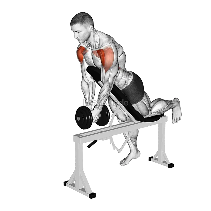 Dumbbell Incline Front Raise with Chest Support demonstration