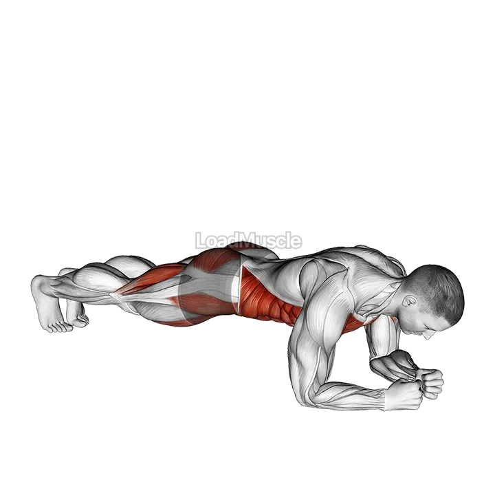 Leg Lift to Chest Front Plank demonstration