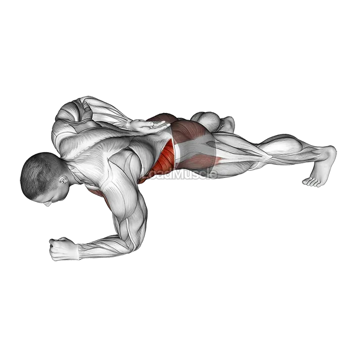 One Arm Front Plank demonstration