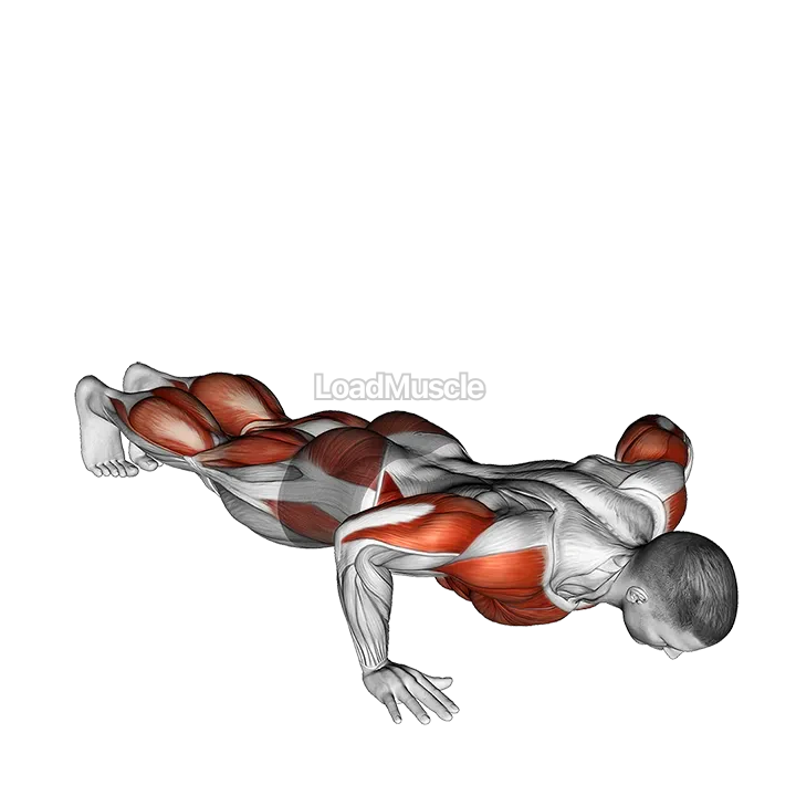 Push-up Pike Toe Touch demonstration