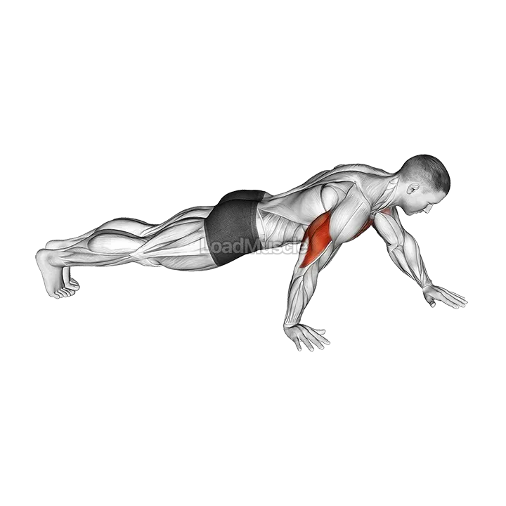 Push-up Hand by Hand demonstration