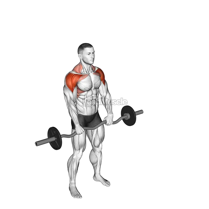 EZ bar Front Twist Raise demonstration