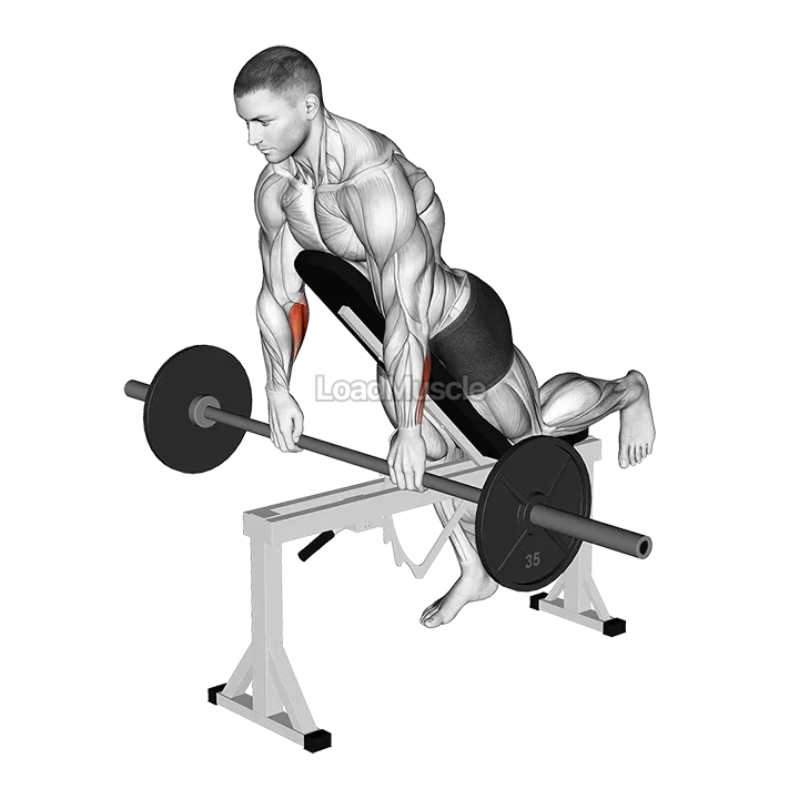 Barbell Incline Wrist Curl with Chest Support demonstration