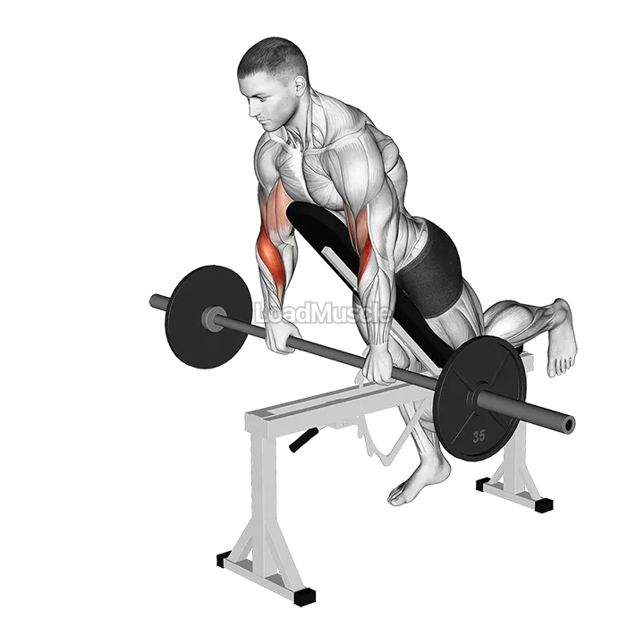 Barbell Incline Reverse grip Spider Curl with Chest Support demonstration