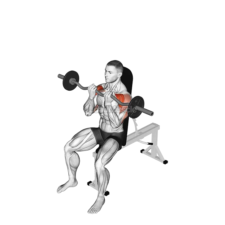 EZ bar Seated Close grip Shoulder Press demonstration