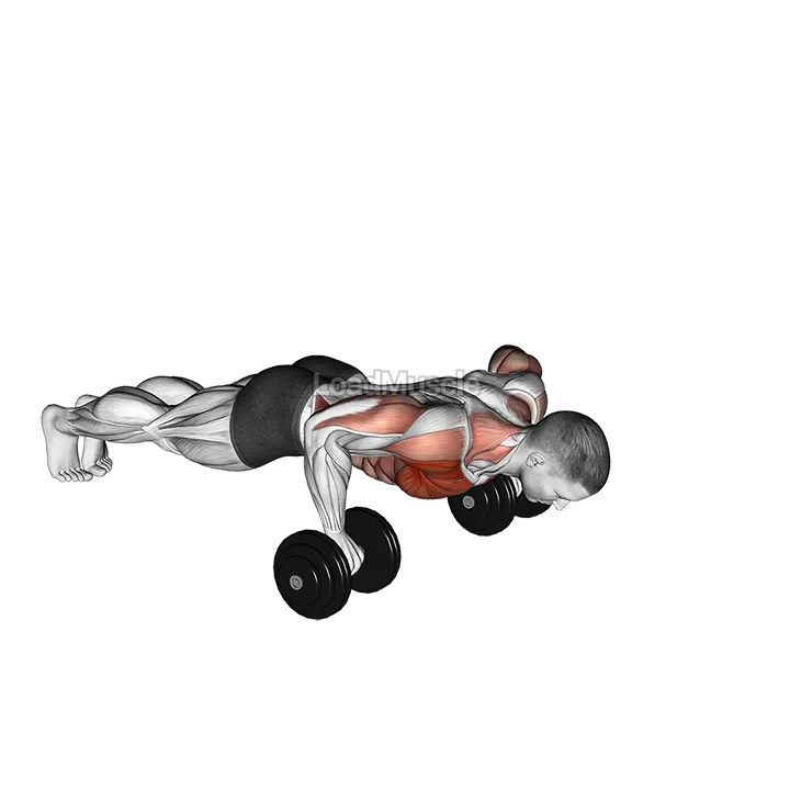 Dumbbell Push-up Front Raise demonstration