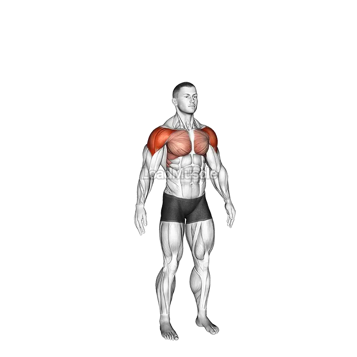 Circles Arm demonstration