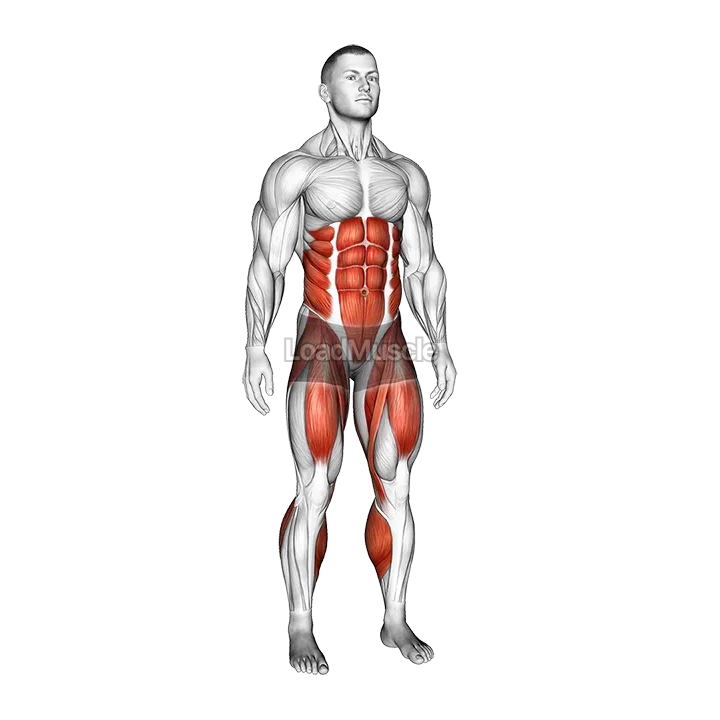Standing Air Bike demonstration