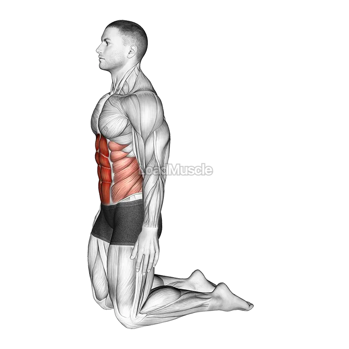 Backward Abdominal Stretch demonstration