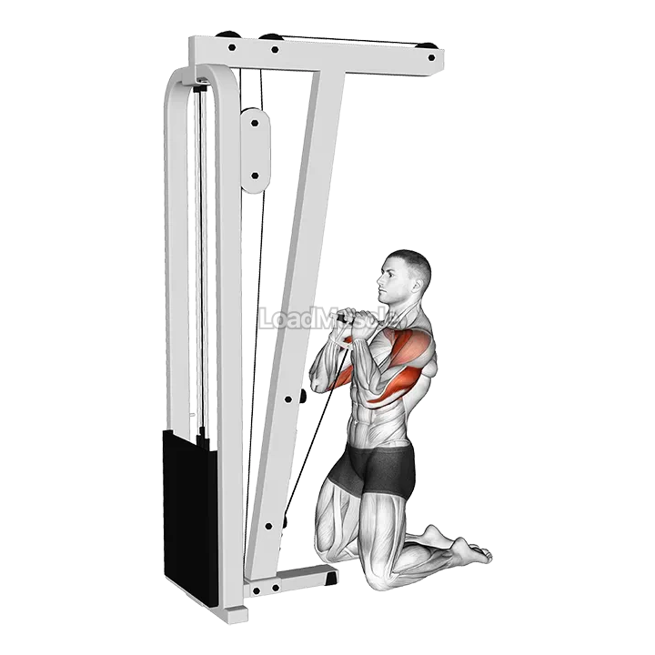 Cable Kneeling Shoulder Press demonstration