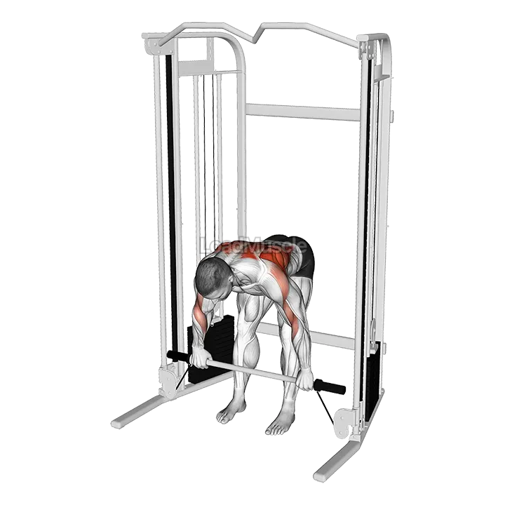 Cable Bent Over Row with Bar demonstration