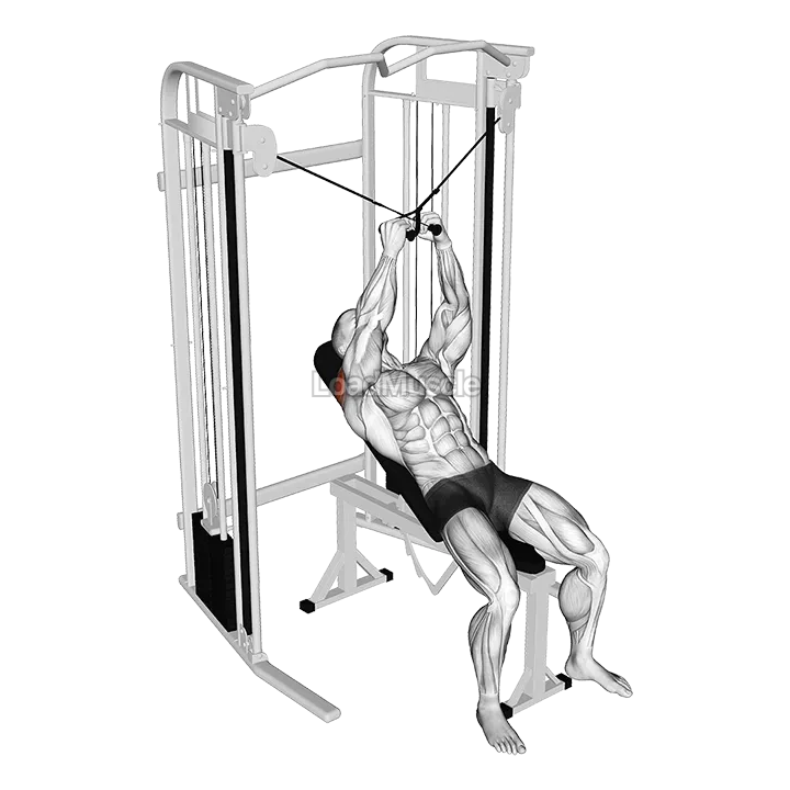 Cable Incline Cross Rear Fly demonstration