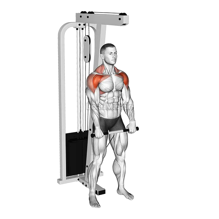 Cable Standing Front Raise Variation demonstration