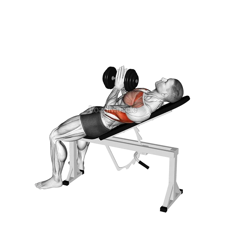 Dumbbell Incline Close grip Press Variation demonstration